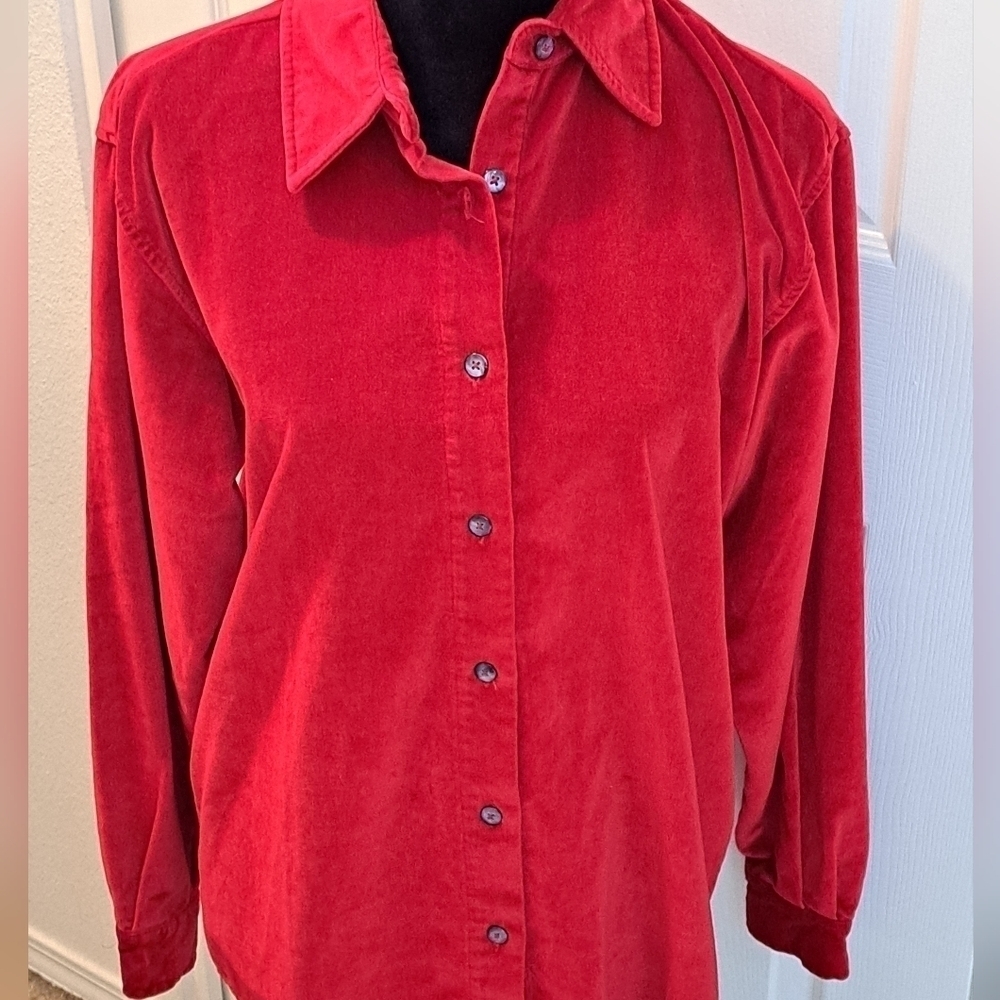 The Territory Ahead Red Velour Button Up Shirt